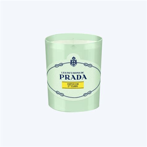 prada candel|prada infusion d'ylang.